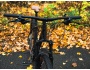 Scott Aspect 930