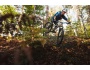 TREK Roscoe 9