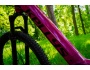 Kellys Tayen R50 SH 725Wh