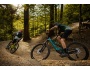 Kellys Theos R50 P 29"/27.5" 725Wh
