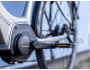 TREK Verve+ 2