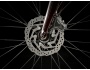 TREK FX Sport 5