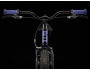 TREK Precaliber 20 Freewheel