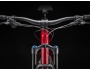 TREK Roscoe 9