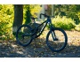 TREK Session 8