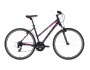 Kellys Clea 30