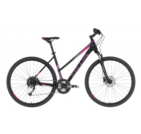 Kellys Pheebe 10 2022