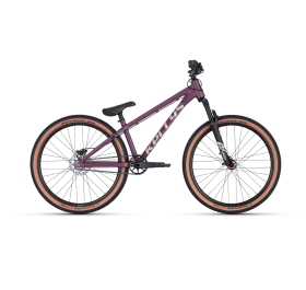 Kellys Whip 70 2024