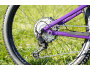 Norco Optic C3