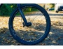 TREK Session 8