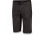 Dakine Thrillium Short kraťasy pánské
